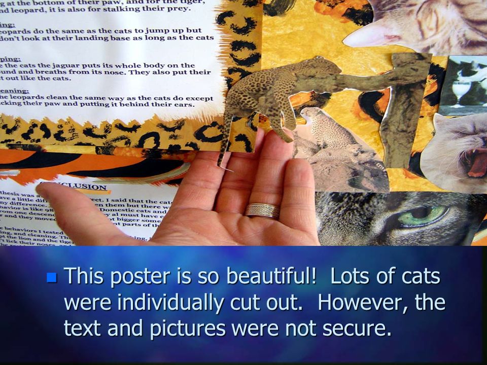 Careful Gluing This poster is so beautiful. Lots of cats were individually cut out.