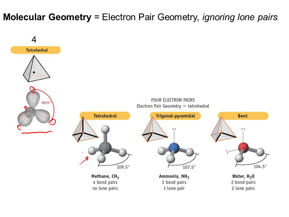Molecular Geometry = Electron Pair Geometry, ignoring lone pairs