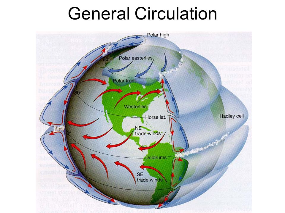 General Circulation