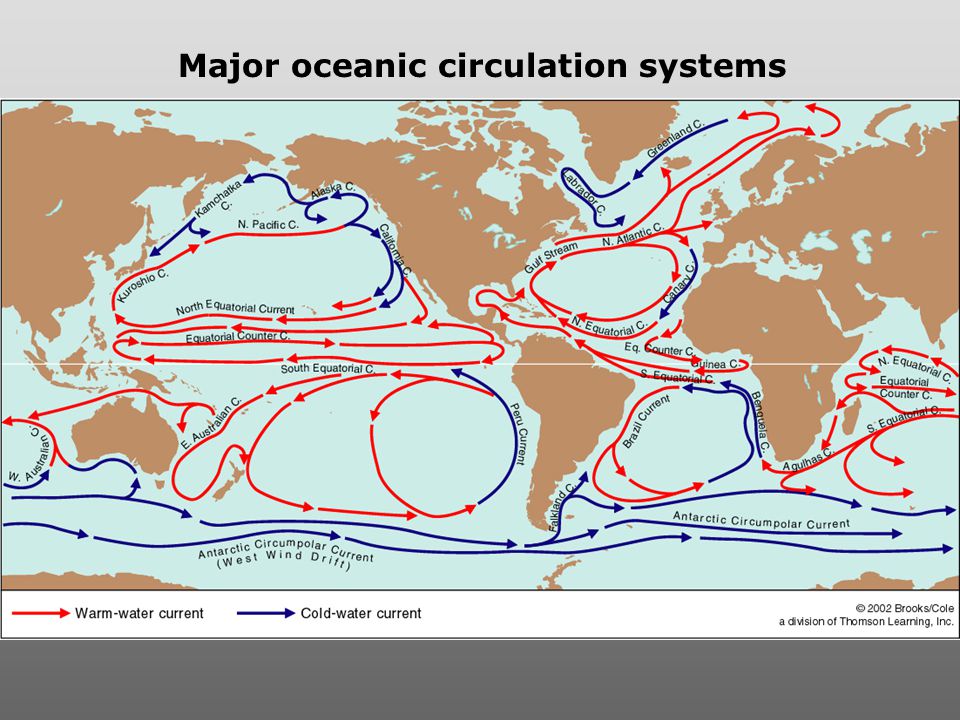 Major oceanic circulation systems