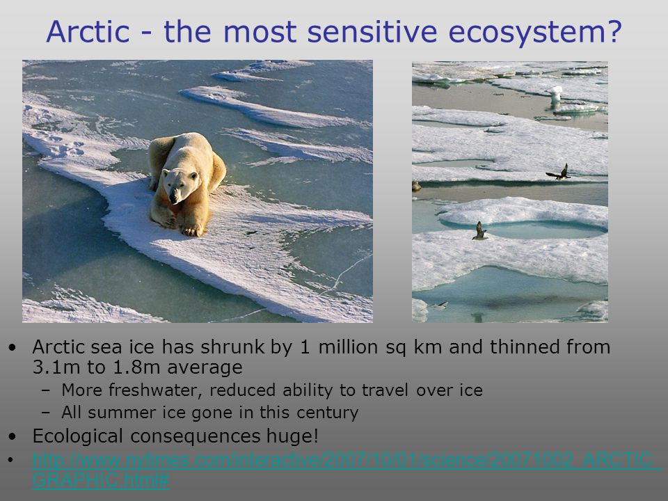 Arctic - the most sensitive ecosystem