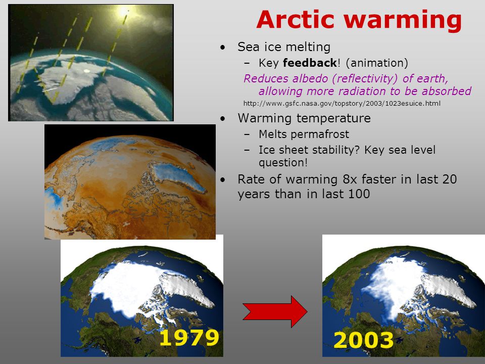 Arctic warming Sea ice melting Warming temperature