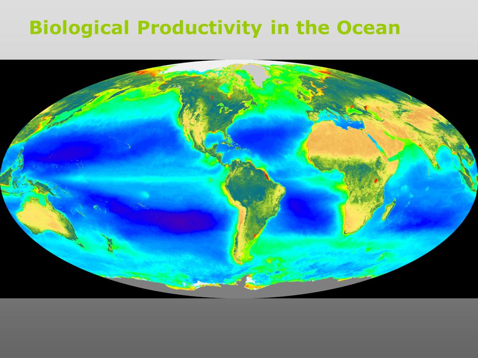 Biological Productivity in the Ocean
