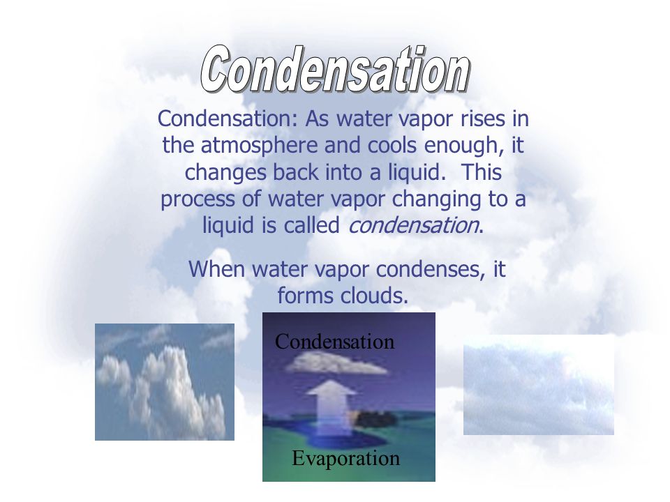 When water vapor condenses, it forms clouds.
