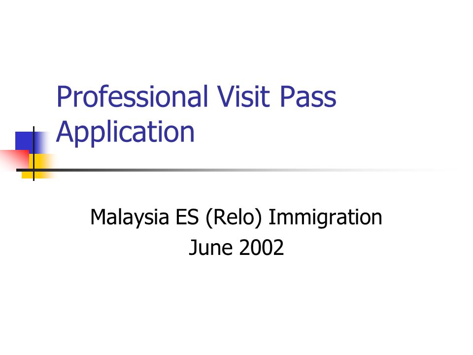 Professional Visit Pass Application