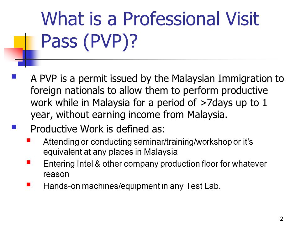 What is a Professional Visit Pass (PVP)