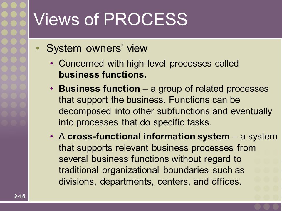 Views of PROCESS System owners’ view