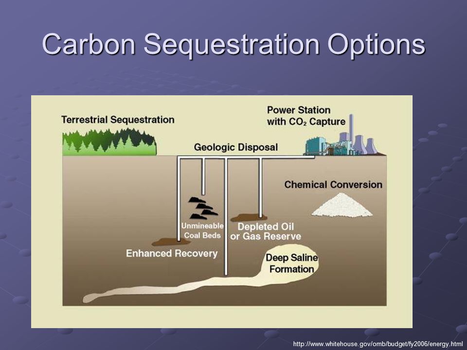 Carbon Sequestration Options