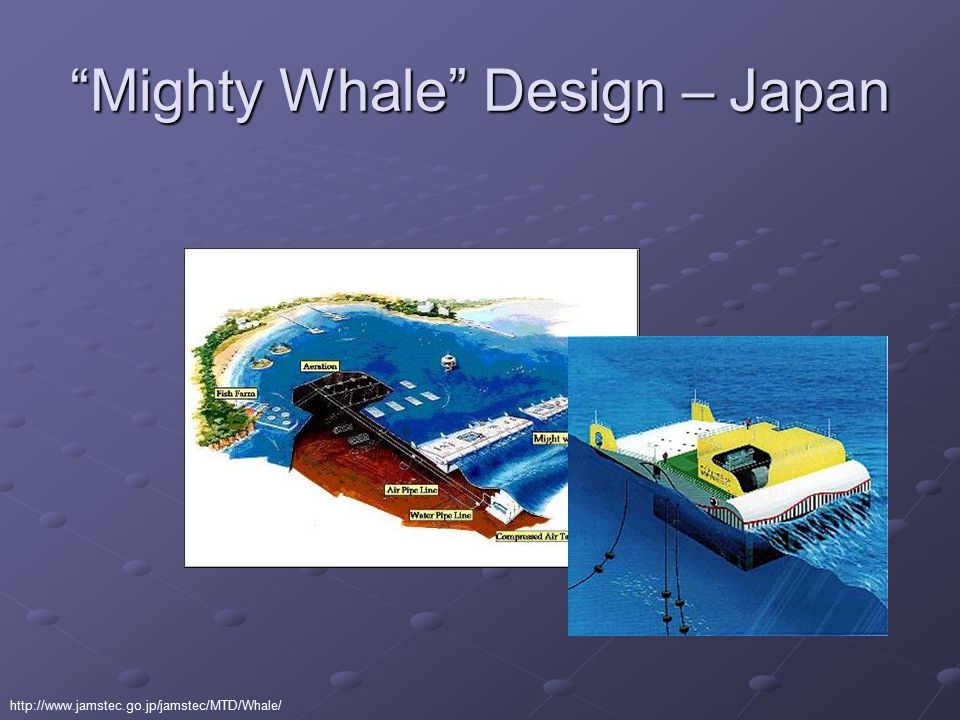 Mighty Whale Design – Japan