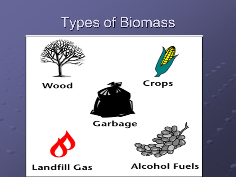 Types of Biomass