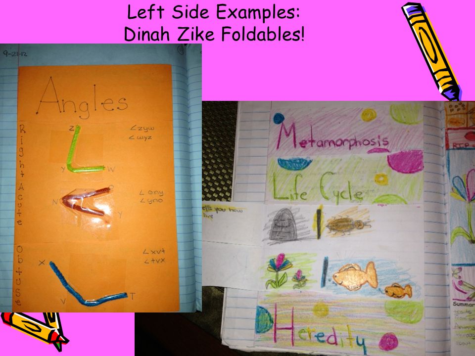 Left Side Examples: Dinah Zike Foldables!
