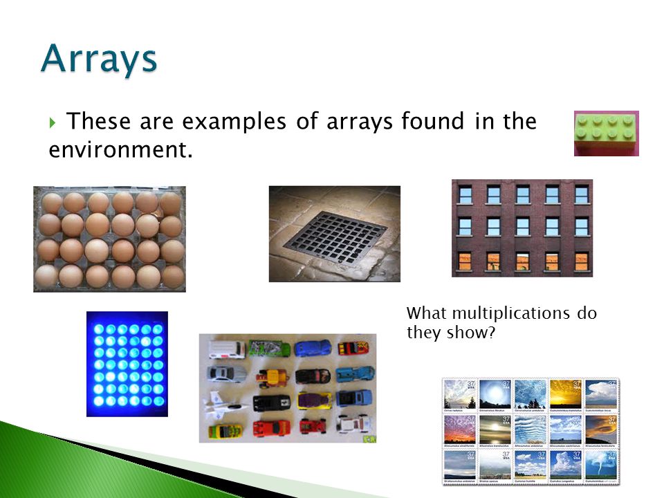 Arrays These are examples of arrays found in the environment.