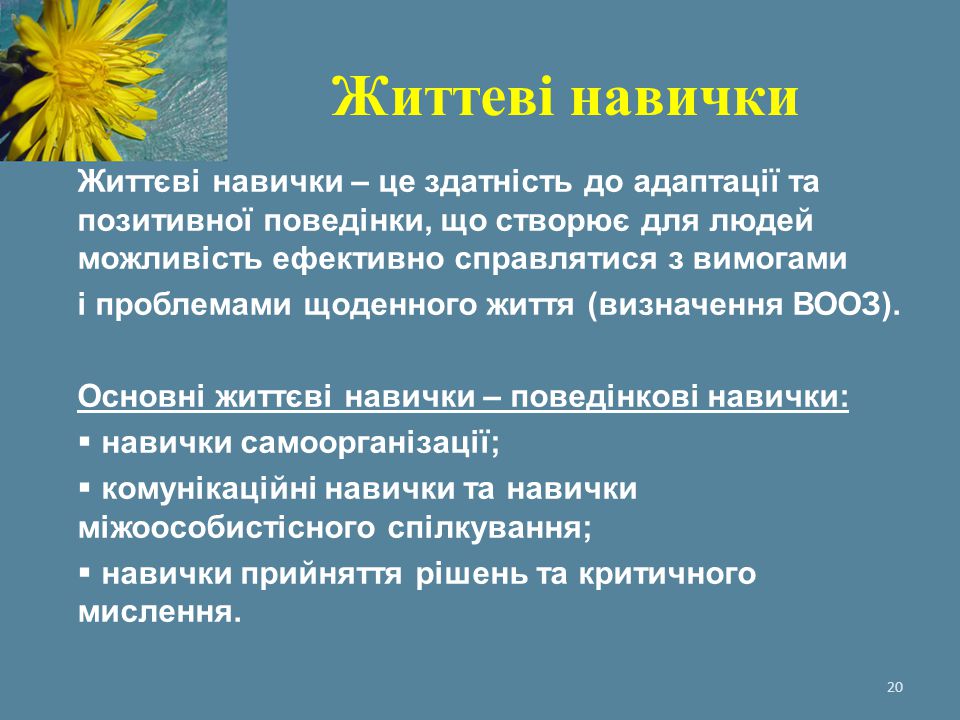 Життеві навички Життєві навички – це здатність до адаптації та позитивної поведінки, що створює для людей можливість ефективно справлятися з вимогами.