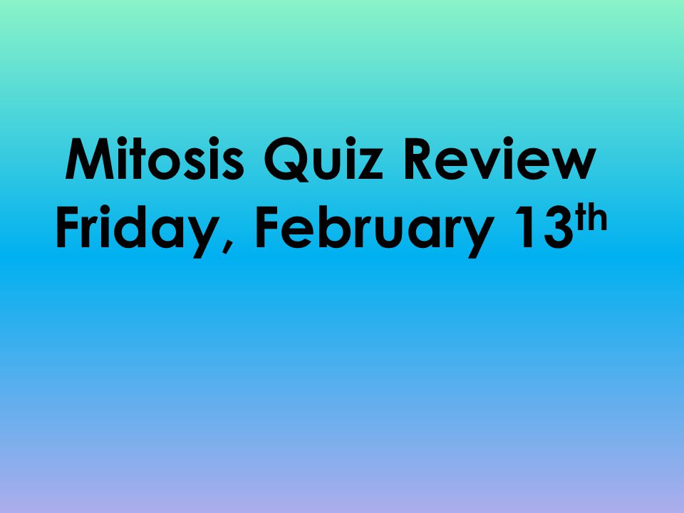 Mitosis Quiz Review Friday, February 13th