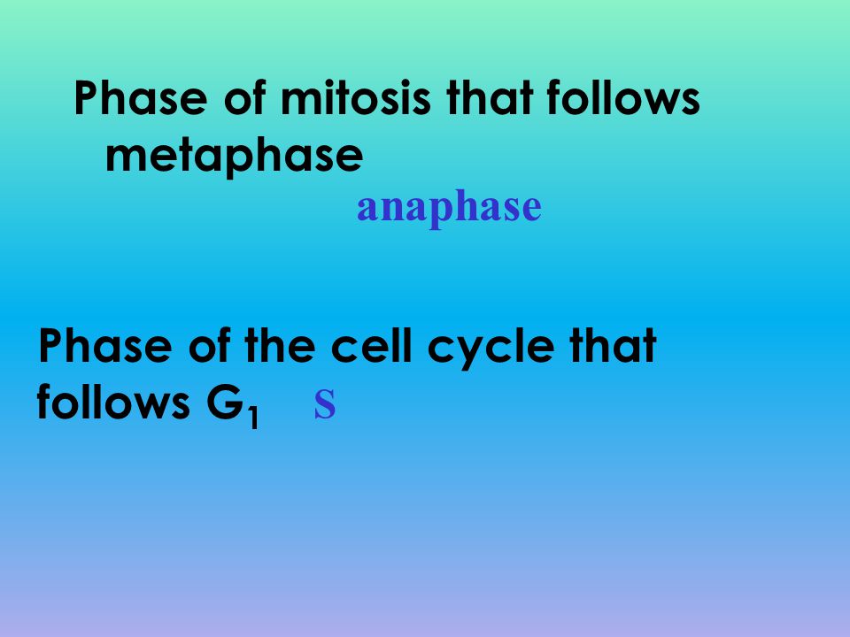 Phase of mitosis that follows metaphase