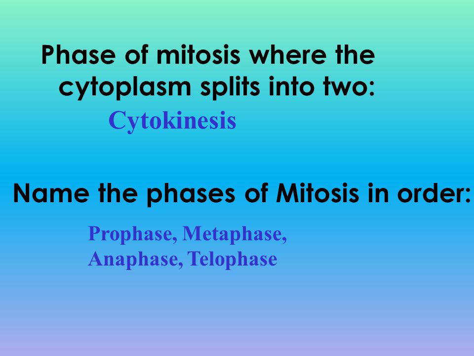 Phase of mitosis where the cytoplasm splits into two: