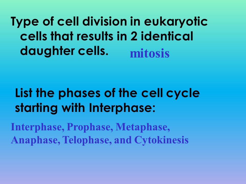 Type of cell division in eukaryotic cells that results in 2 identical daughter cells.
