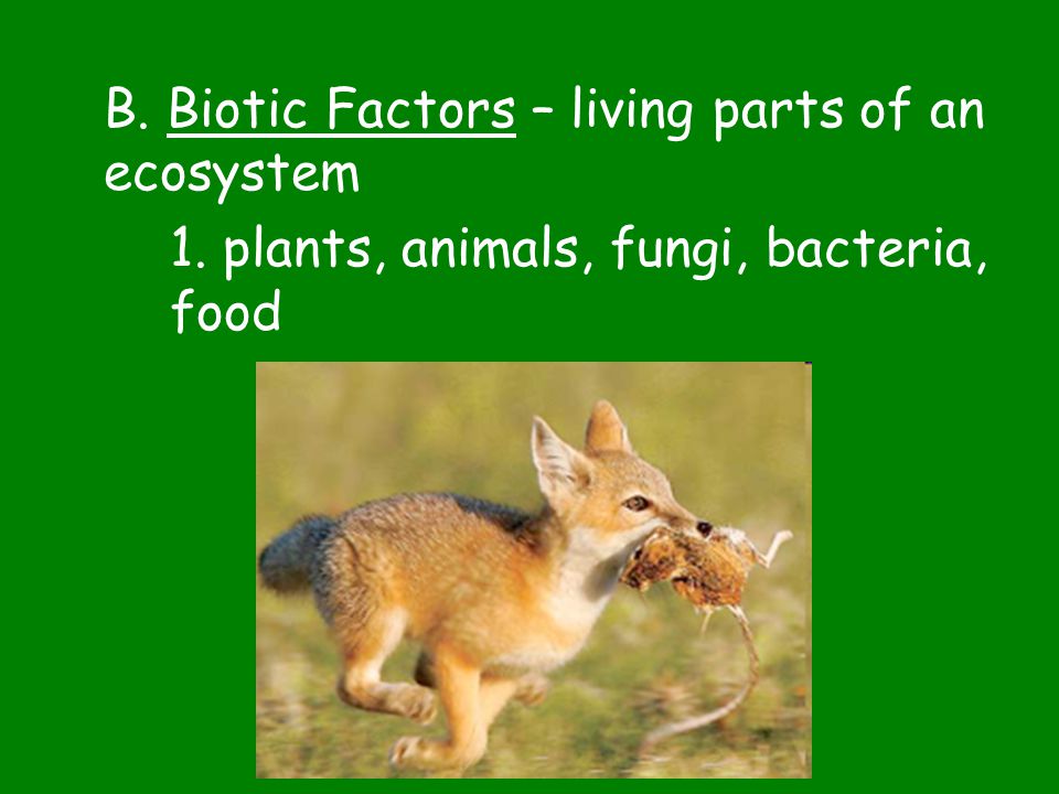 1. plants, animals, fungi, bacteria, food