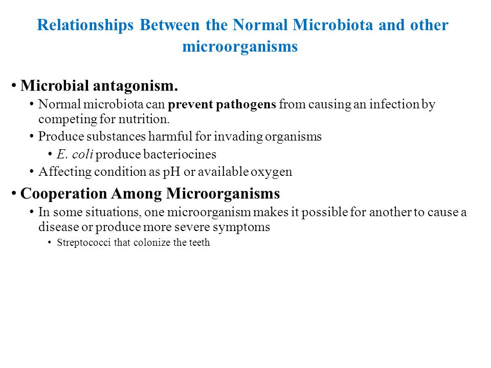 Relationships Between the Normal Microbiota and other microorganisms