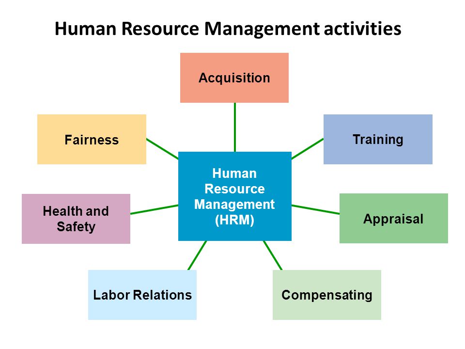 Human Resource Management activities