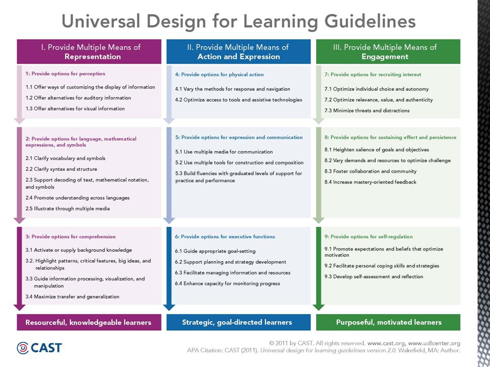 This is the Universal Design for Learning Guidelines produced by CAST