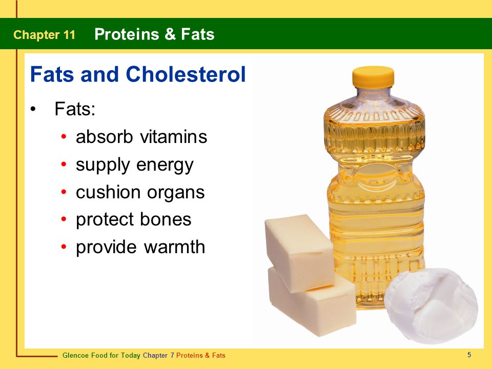 Fats and Cholesterol Fats: absorb vitamins supply energy