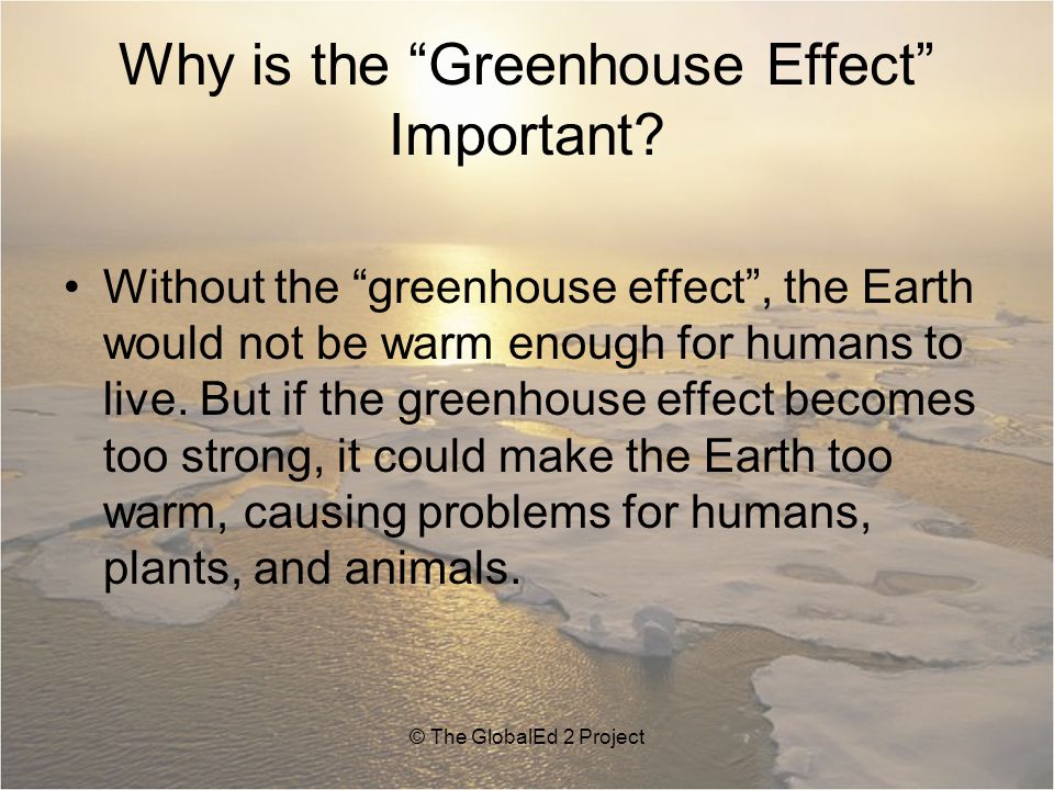 Why is the Greenhouse Effect Important