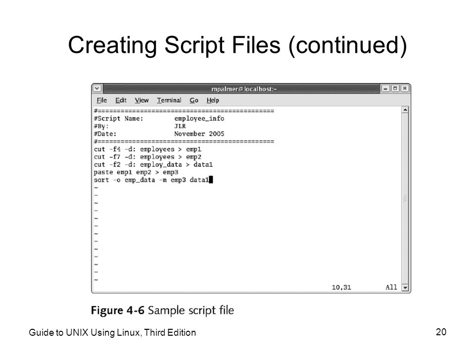 Creating Script Files (continued)