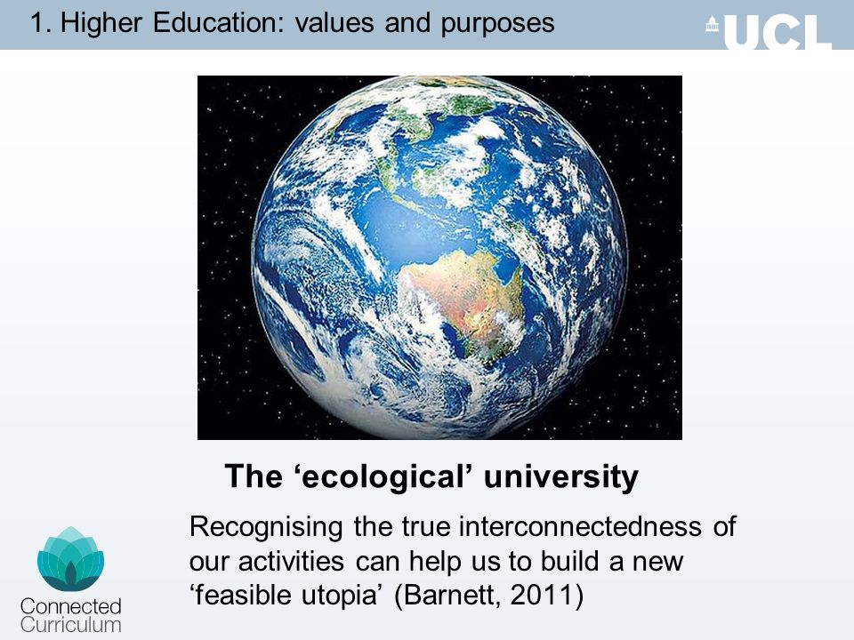 The ‘ecological’ university
