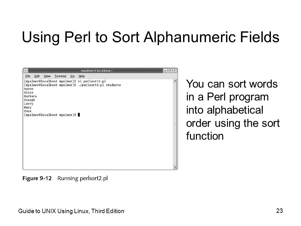 Using Perl to Sort Alphanumeric Fields