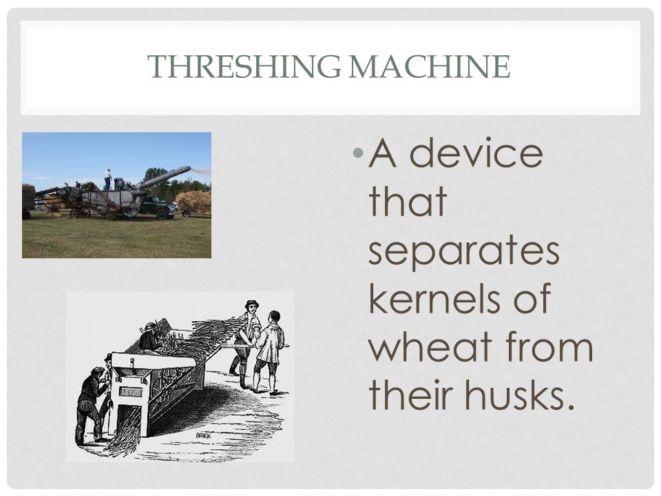 A device that separates kernels of wheat from their husks.