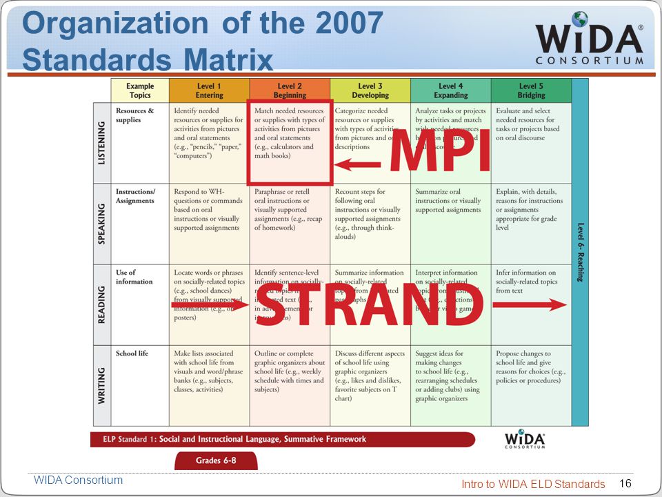 Organization of the 2007 Standards Matrix