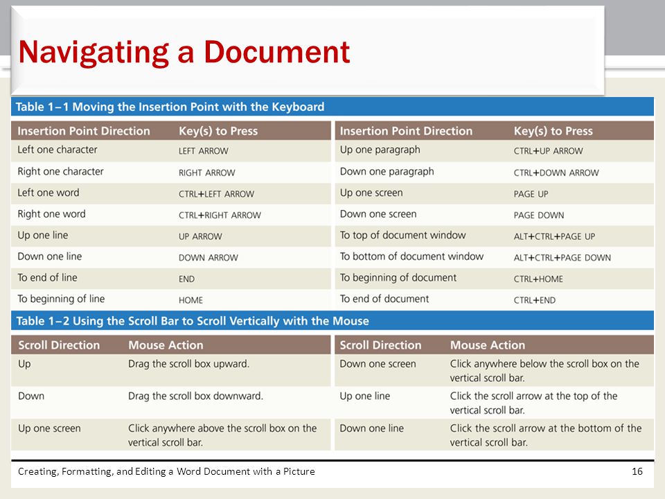Navigating a Document Creating, Formatting, and Editing a Word Document with a Picture