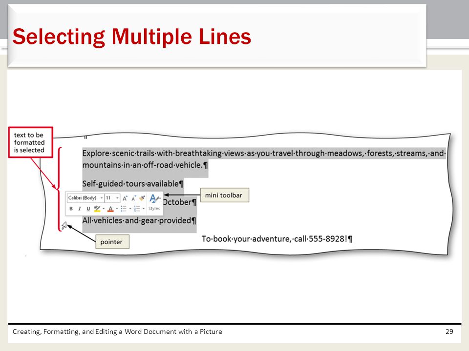 Selecting Multiple Lines