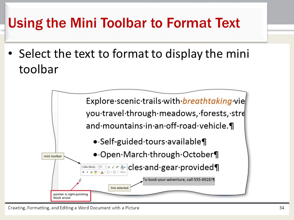 Using the Mini Toolbar to Format Text