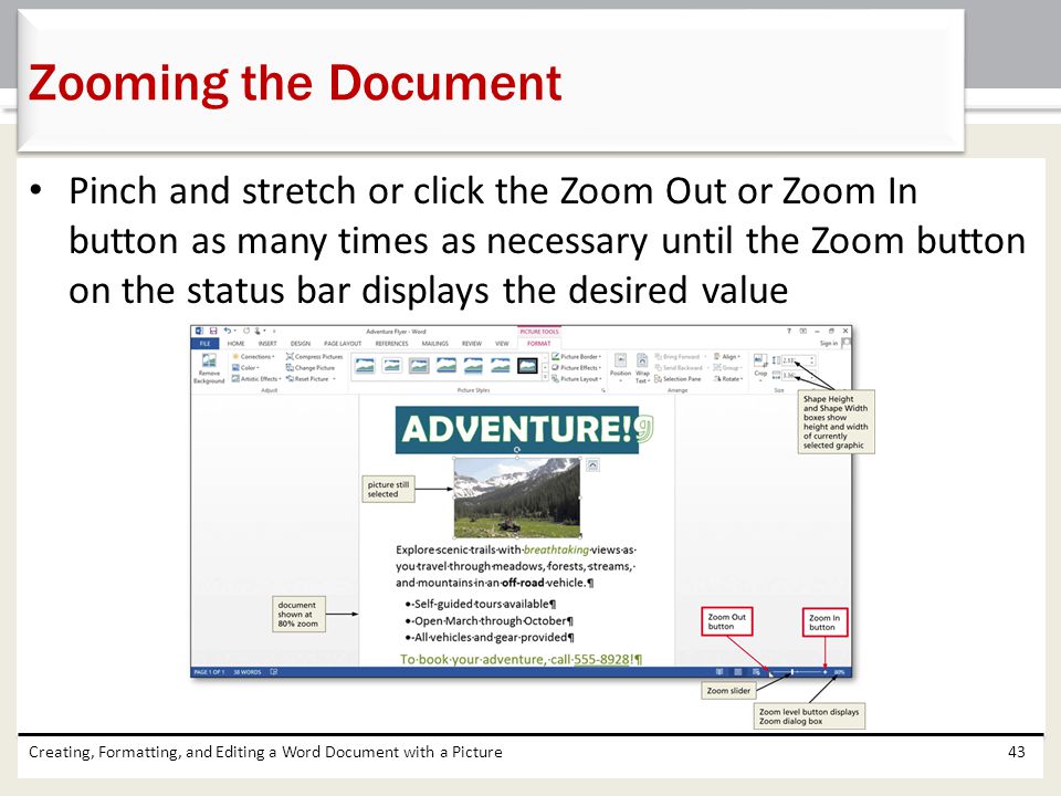 Zooming the Document
