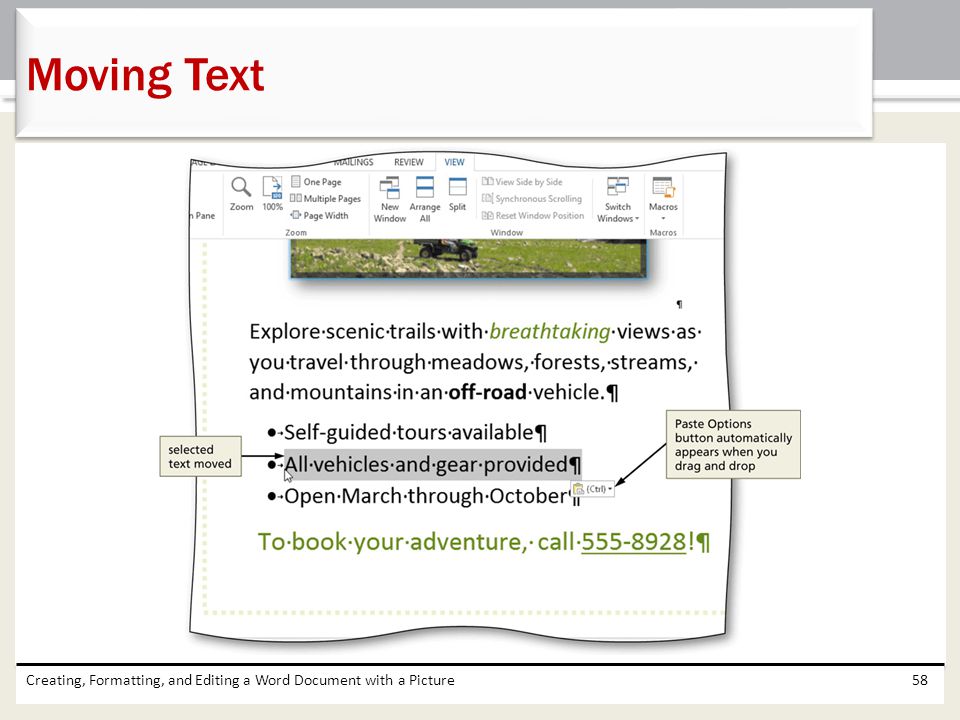 Moving Text Creating, Formatting, and Editing a Word Document with a Picture