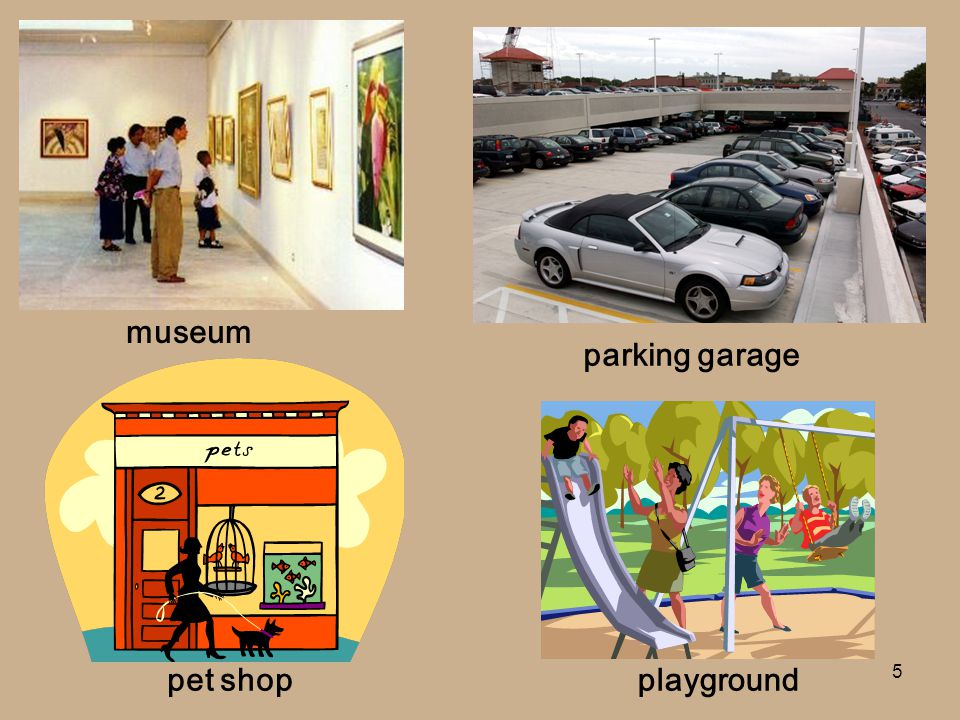 museum parking garage pet shop playground