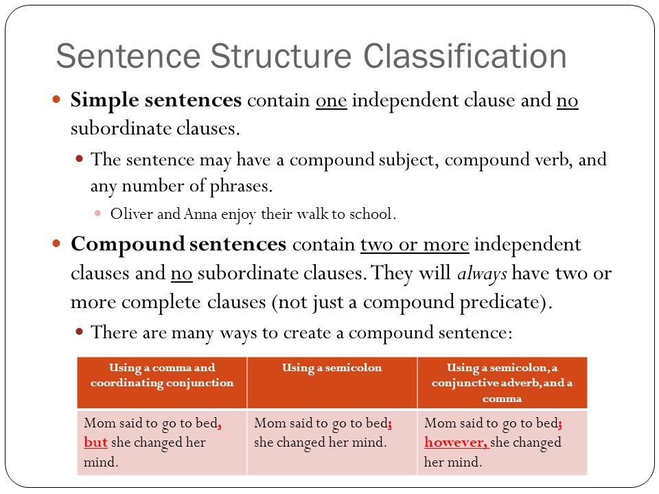 Sentence Structure Classification