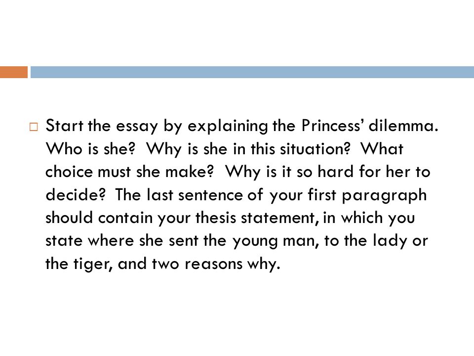 Start the essay by explaining the Princess’ dilemma. Who is she