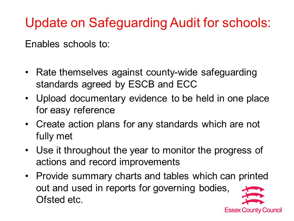 Update on Safeguarding Audit for schools: