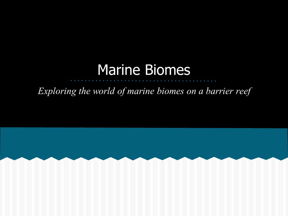 Exploring the world of marine biomes on a barrier reef