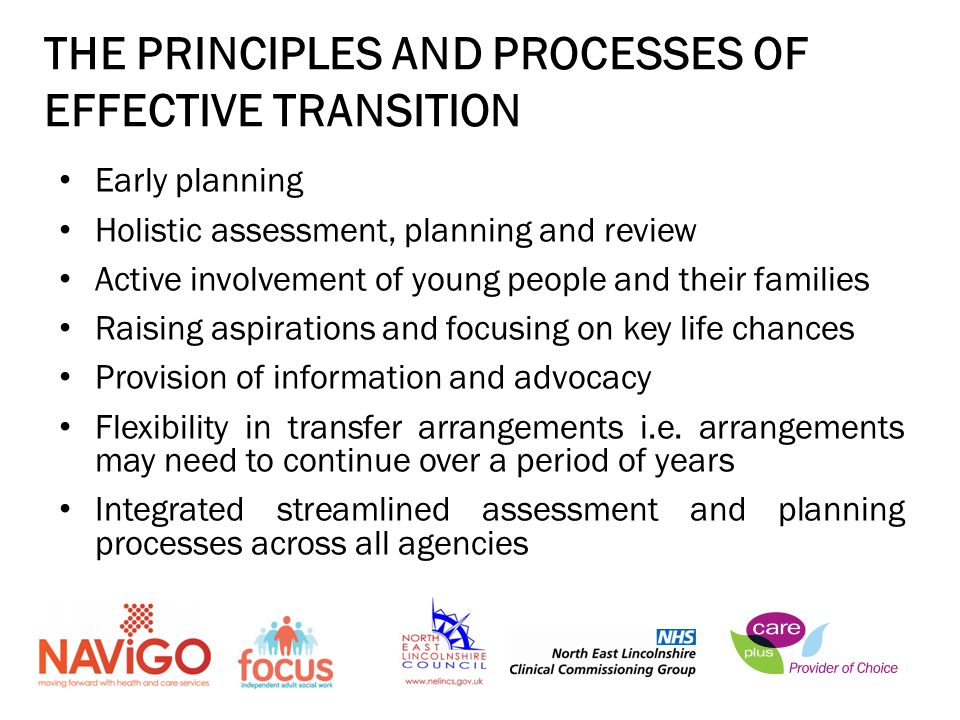 THE PRINCIPLES AND PROCESSES OF EFFECTIVE TRANSITION