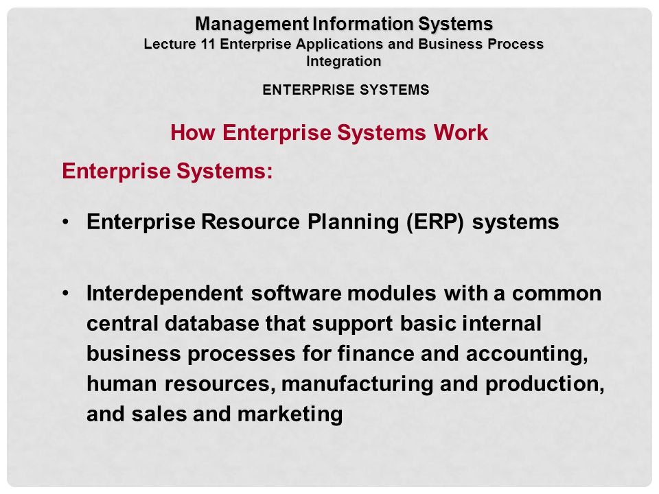 How Enterprise Systems Work