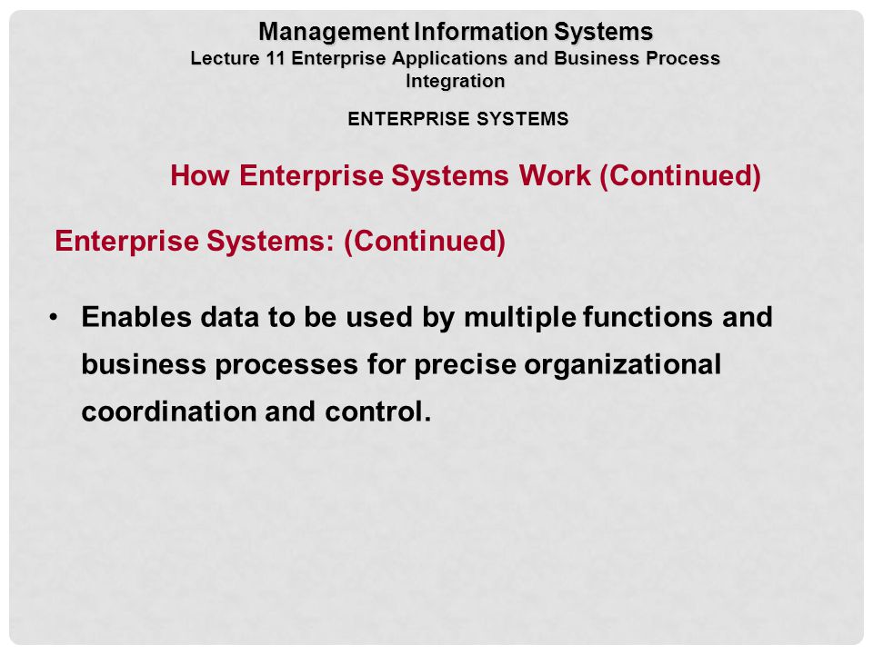 How Enterprise Systems Work (Continued)
