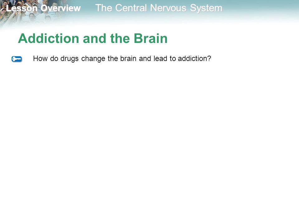 Addiction and the Brain