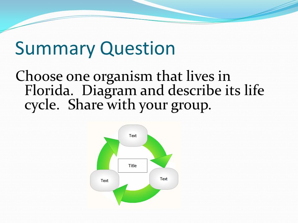 Summary Question Choose one organism that lives in Florida. Diagram and describe its life cycle. Share with your group.