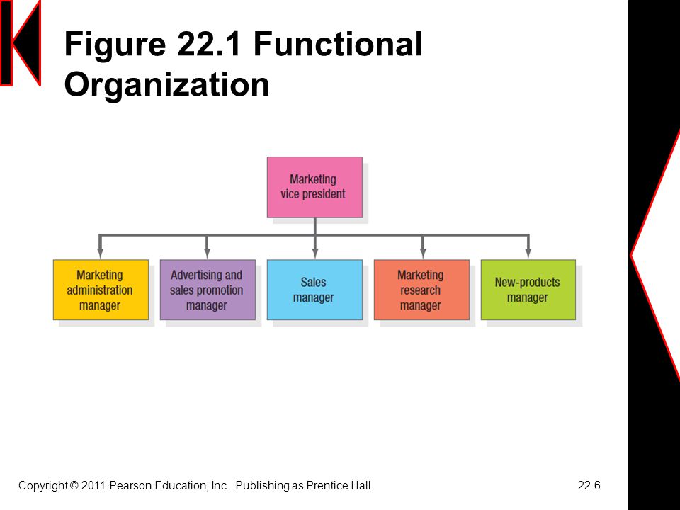 Figure 22.1 Functional Organization