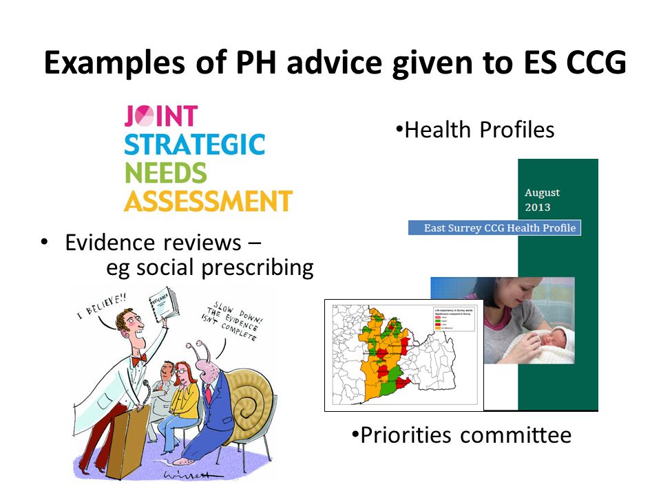 Examples of PH advice given to ES CCG