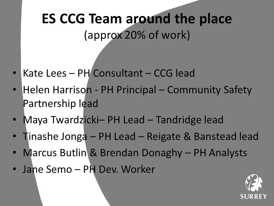 ES CCG Team around the place (approx 20% of work)